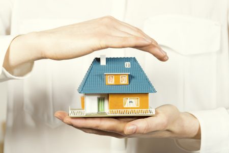 Person holding a miniature house.